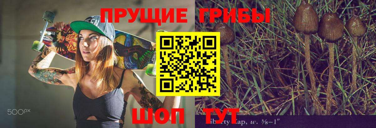 Галлюциногенные грибы мицелий  Вход с VPN  Псилоцибиновые грибы MAGIC MUSHROOMS  Кумертау 